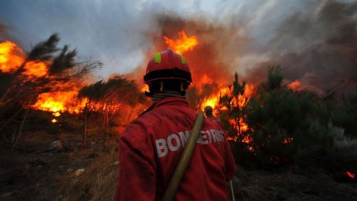 Mais de 650 operacionais combatem fogo em Odemira