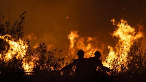 Incêndios: Mais de 50 concelhos de nove distritos em risco máximo