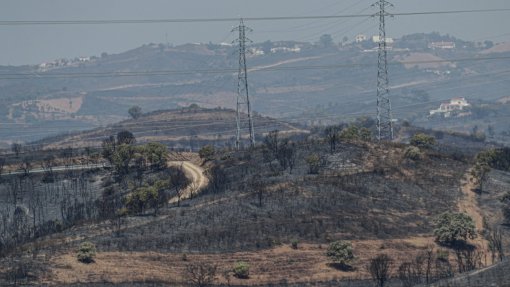 Incêndio de Castro Marim com 57 operacionais em &quot;vigilância ativa&quot;
