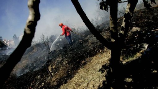 Incêndios: Mais de 30 concelhos de seis distritos em risco máximo