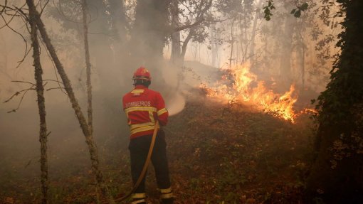 Incêndios: Quatro concelhos da Guarda e Castelo Branco em risco máximo