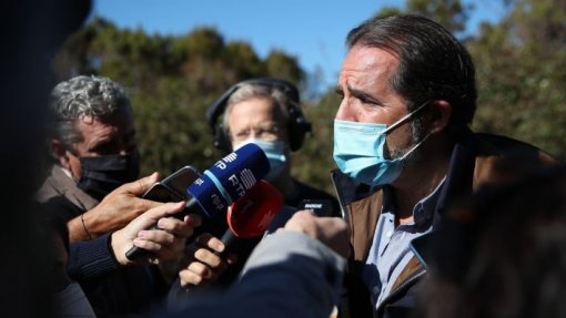 Covid-19: Miguel Albuquerque critica &quot;indecisões e ziguezagues&quot; da DGS na vacinação