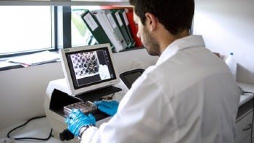 Investigadores do Porto em projeto inovador de combate ao cancro da próstata