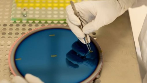 Investigadores descobrem mutações ligadas à infertilidade masculina