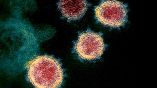 Covid-19: Variante Delta permanece dominante em todo o país – INSA
