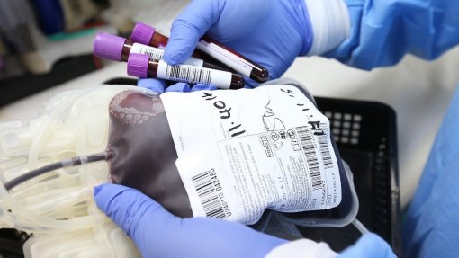 Instituto do Sangue arquiva processos por alegada discriminação na doação de sangue por homossexuais