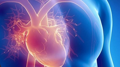 Sociedade Portuguesa de Aterosclerose faz campanha &#039;online&#039; sobre doenças cardiovasculares