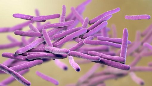 Brasil desenvolve teste molecular para diagnosticar precocemente a lepra