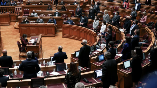 Parlamento chumba alargamento da informação sobre transgénicos e custos ambientais nos alimentos