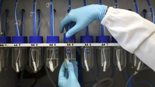 Aumento de 10% na investigação fundamental aumenta produtividade em 0,3% - FMI