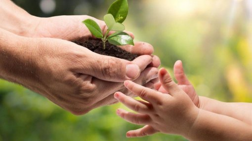 Vida mais sustentável depende de apoios do Governo e da redução dos preços - estudo