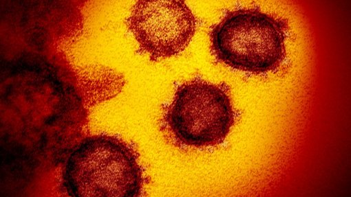 Covid-19: Estudo aponta pico de carga viral similar entre vacinados e não vacinados