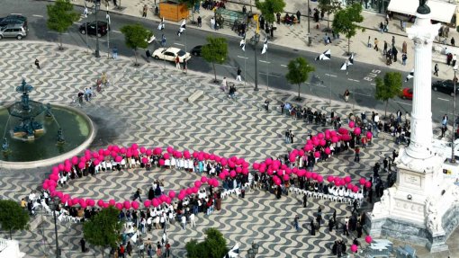 Liga contra o cancro inicia hoje peditório que é a principal fonte de financiamento