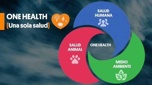 Peritos vão discutir no Porto urgência de integrar conceito &#039;One Health&#039; em Portugal