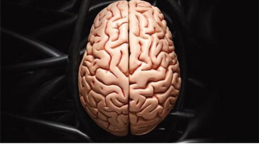 Estudo coordenado pela UMinho descobre solução para atenuar progressão do Alzheimer