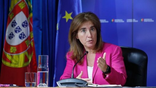 Teletrabalho pode ser ‘game changer’ se soubermos aproveitar - ministra