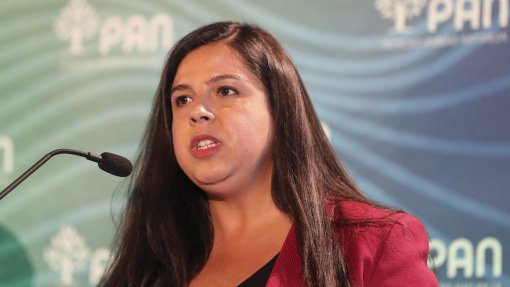 PAN quer que processo para exploração de lítio na Serra da Argemela seja “interrompido”