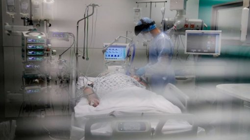 Covid-19: Portugal com 974 novos casos, oito mortes e ligeiro aumento de internamentos