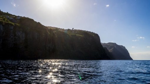 Descoberta bactéria no mar da Madeira com potencial para estudo de novos fármacos