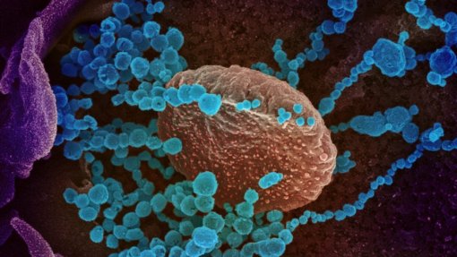 Covid-19: Trinta e três casos da variante Ómicron detetados na Europa – Centro europeu
