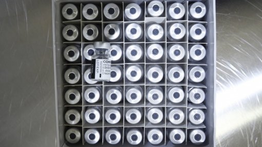 Covid-19: Pfizer já está a trabalhar em vacina contra variante Ómicron