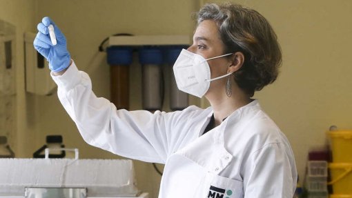 Investigadora Maria Mota otimista com números da malária mas pede mais recursos e vontade