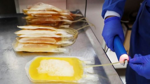 Covid-19: OMS desaconselha tratamento com plasma de recuperados