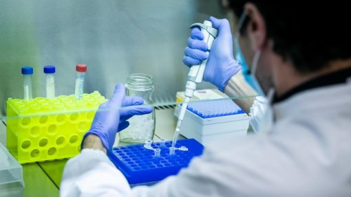 Covid-19: Casos associados à variante Ómicron em Portugal sobem para 37 - INSA