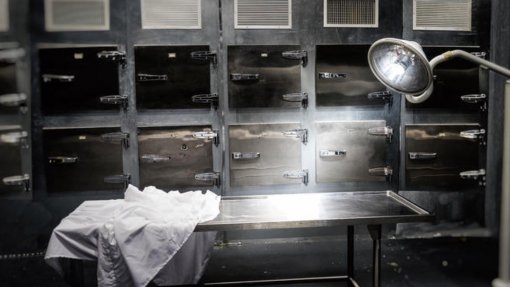 Peritagens médico-legais e forenses estão sujeitas à taxa normal do IVA