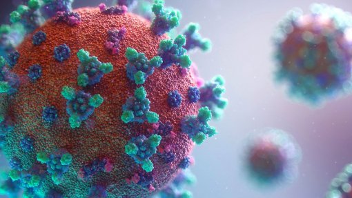 Covid-19: OMS alerta para risco acrescido de uma nova variante devido à Ómicron