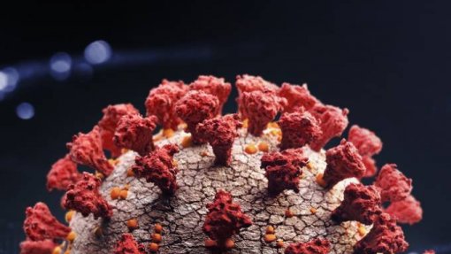 Covid-19: França identifica nova variante, designada IHU, com mais de 40 mutações genéticas