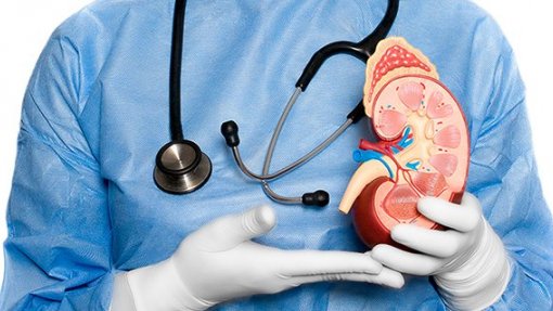Hospitais do Médio Tejo e de Santarém unem-se para facilitar acesso a serviços de Nefrologia