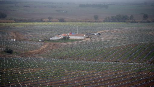 Áreas da Rede Natura ameaçadas por mais 130 mil hectares de regadio - associação Zero