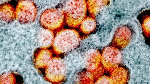 Covid-19: Cinco vezes mais contágios a nível global devido a variante Omicron e mortes a aumentar
