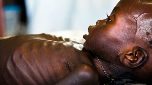 Pelo menos 1,5 milhões de crianças subnutridas em África não recebem tratamento adequado - Unicef