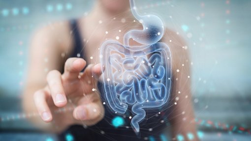 Dieta altera genética de bactérias do intestino tornando-o mais permeável a infeções - estudo