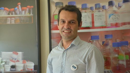 Novo diretor do Instituto de Biomédica de Coimbra quer atrair mais clínicos