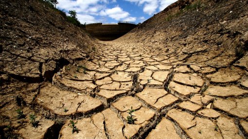 Seca: Agricultores algarvios pedem medidas urgentes para combater falta de água