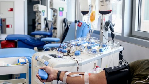 Covid-19: Vacinados deixam de ter de esperar sete dias para doar sangue