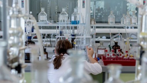 Conselho Europeu de Investigação atribui 600 mil euros a quatro cientistas portugueses