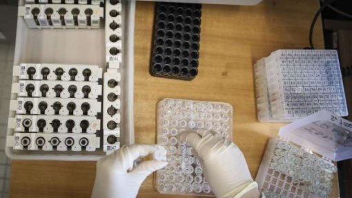 Covid-19: Frequência da linhagem BA.2 da Ómicron tem aumentado em Portugal - INSA