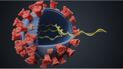 Covid-19: Linhagem BA.2 da variante Ómicron deveria ser considerada nova variante - investigador