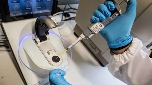 Equipa com cientista portuguesa desvenda &quot;arma secreta&quot; de superbactéria que infeta intestino