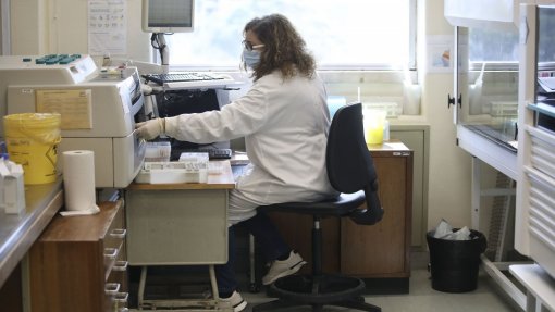 INSA disponível para estudo piloto para atrofia muscular espinhal ainda este ano