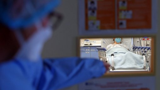 Covid-19: Internamentos em enfermaria sobem, 8.833 novas infeções e mais 25 mortos