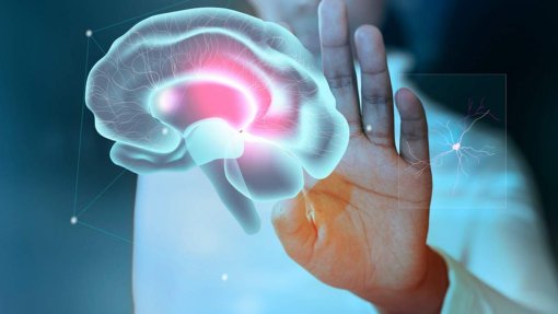 IL quer conhecer realidade das doenças neurodegenerativas nos Açores