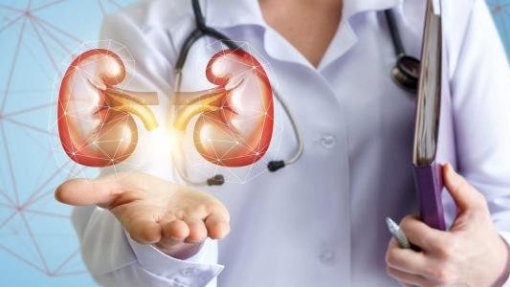 Sociedade Portuguesa Nefrologia pede mais atenção de médicos e doentes à doença renal