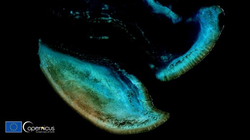 Fundo Mundial para a Natureza cria na Austrália zona de proteção marinha