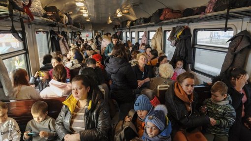Ucrânia: Número de refugiados ultrapassa os 3,6 milhões - ONU