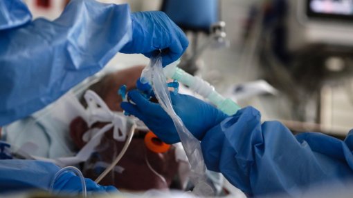 Covid-19: Livro reúne testemunhos e fotos do &quot;vendaval de dor&quot; que atingiu os hospitais